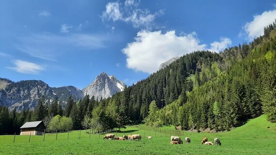 Foto von Aga M entlang der Tour
