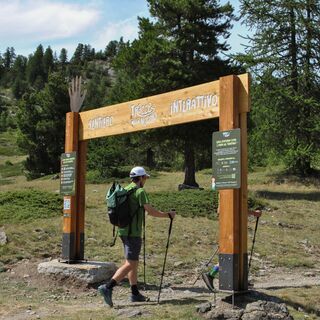 Eingangsportal „Spuren der Natur“