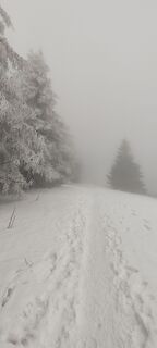 Zdjęcie z Michaela Khandlová wzdłuż trasy