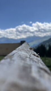 Foto von Marius Trompetter entlang der Tour