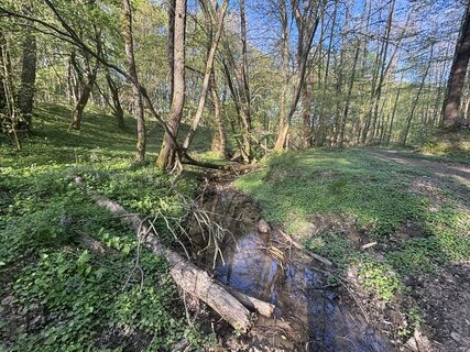 Foto de Reti Alicia a lo largo del recorrido