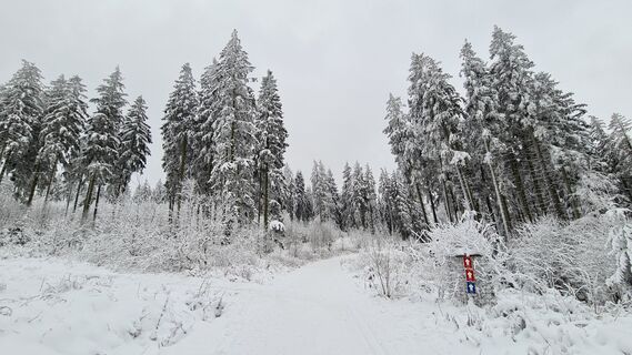 Reetsberg Loipen in Küstelberg