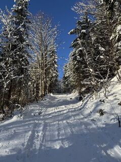 Foto von Thomas Peischl entlang der Tour