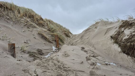 Zdjęcie z Heisi wzdłuż trasy