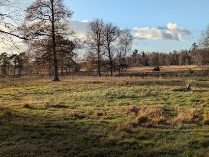 Foto de Matje Derks a lo largo del recorrido