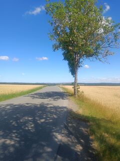 Fotografie z Germi na trase
