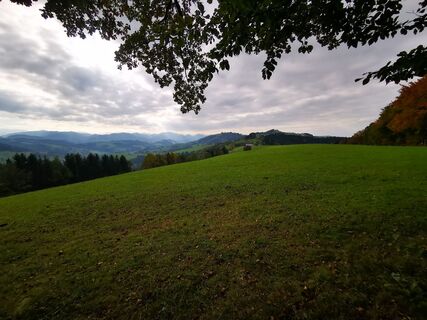 Foto von DSt entlang der Tour