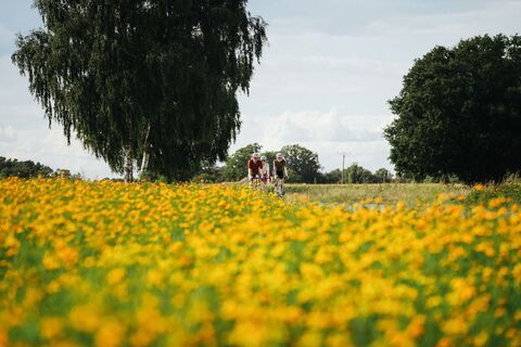 Landschaft im Osnabrücker Land