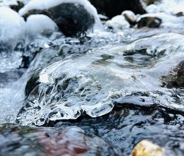 Foto van Dani Geiger / Natur_erleben_dg langs de tour