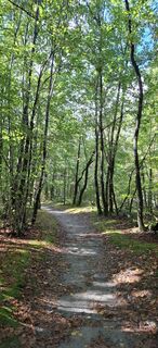 Fotó a anastasia berguglia honlapról a túra során