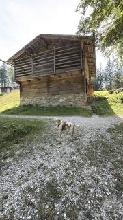 Zdjęcie z Nina Wolf wzdłuż trasy