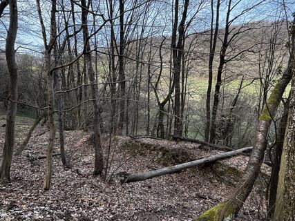 Foto de Reti Alicia a lo largo del recorrido