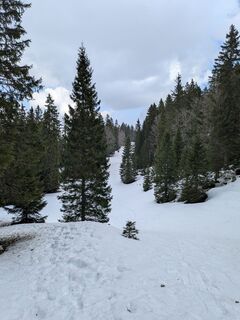Foto von mtmc entlang der Tour