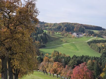 Photo de Michaela Köhler le long du parcours