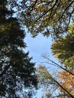 Foto von Jürgen Spitzkopf entlang der Tour