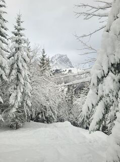 Foto von schenkeli entlang der Tour