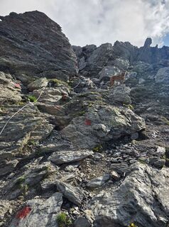 Photo de Schneekar le long du parcours