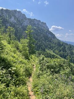 Foto från voeslauer under resans gång