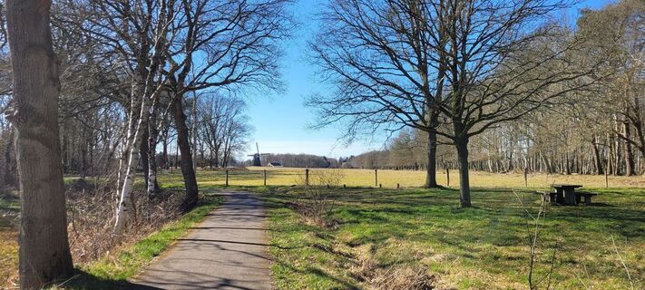 Foto da Hans Wierenga lungo il tour