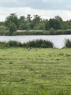 Foto von Eelke Zwart entlang der Tour