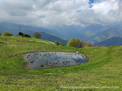 Photo from Sonia Alfieri along the tour