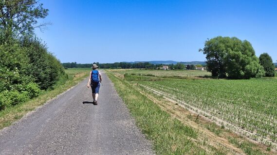 Gemütliches Dahinwandern