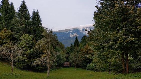 Foto von István Gábor 1 entlang der Tour