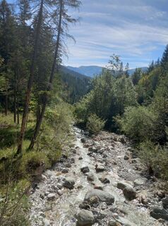 Foto von Tamás Kiss (Mr. Mojo) entlang der Tour