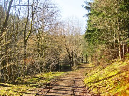 Wanderweg Rund um Nohn