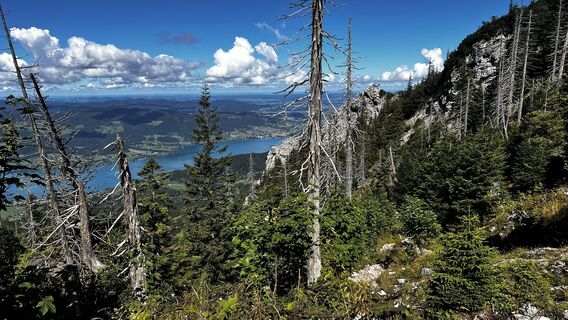 Fotó a Sehcup honlapról a túra során