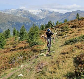 Moosmattentrail im Herbst