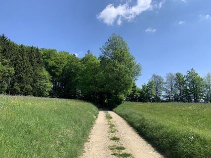 Photo de Karl 6String le long du parcours