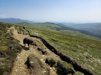 Foto von August Schmölzer entlang der Tour