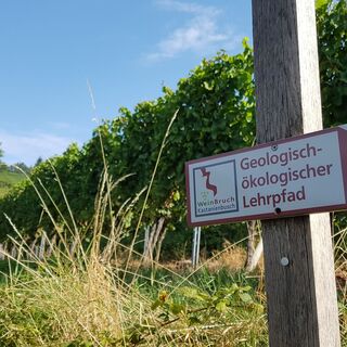 Markierung Lehrpfad