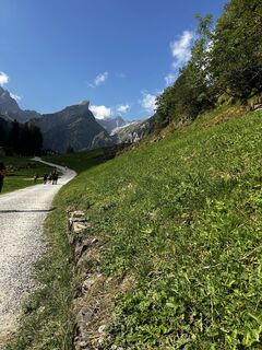 Photo de Alexandru Octavian le long du parcours