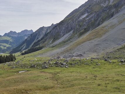 Photo de Thomi W le long du parcours