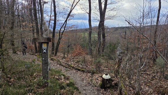 Zdjęcie z Gabriele Wagener wzdłuż trasy