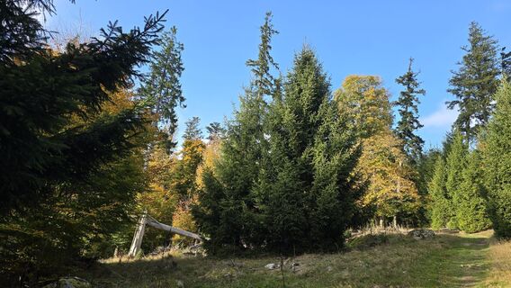 Fotografie z Katja Senkel na trase