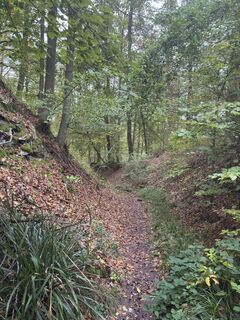 Photo de Wanderelch le long du parcours