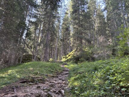 Foto von Pier Paolo Gelmi entlang der Tour