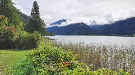 0.6 km Blick Richtung Peterzipf am anderen Ufer