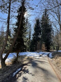 Foto von Ines Hering entlang der Tour