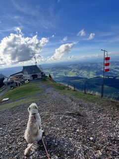 Foto de Marleen Blomsma a lo largo del recorrido