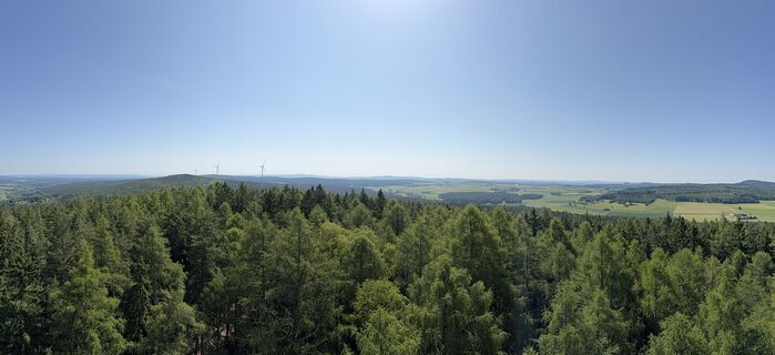 Photo de Norbert Herbig le long du parcours