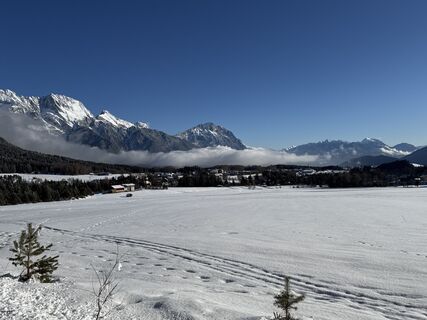 Foto de Grizzli a lo largo del recorrido