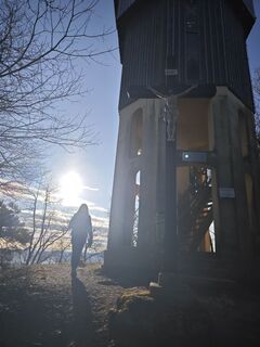 Fotografie de la Koisiegi Japankoi-Bonsai de-a lungul turului