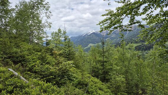 Foto von Julia Strobl 1 entlang der Tour