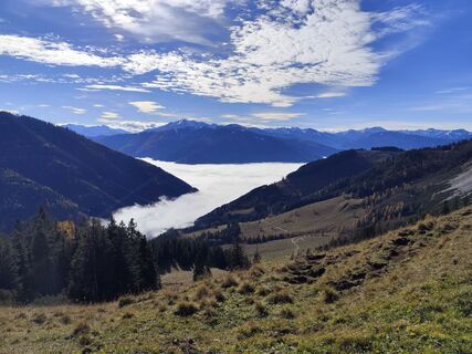 Fotografija s spletne strani Edith K. na poti