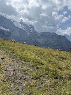 Foto von Francesco Di Nillo entlang der Tour