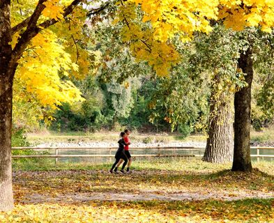 sport-jogger-im-herbst
